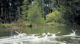 Zásoby pitnej vody ochráni nový zákon