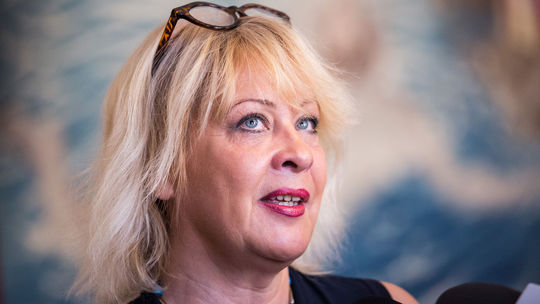 sociologička Sylvia Porubänová