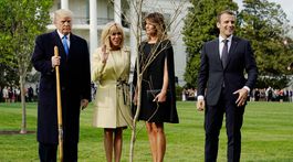 Francúzsky dub z trávnika Bieleho domu nezmizol, je v karanténe