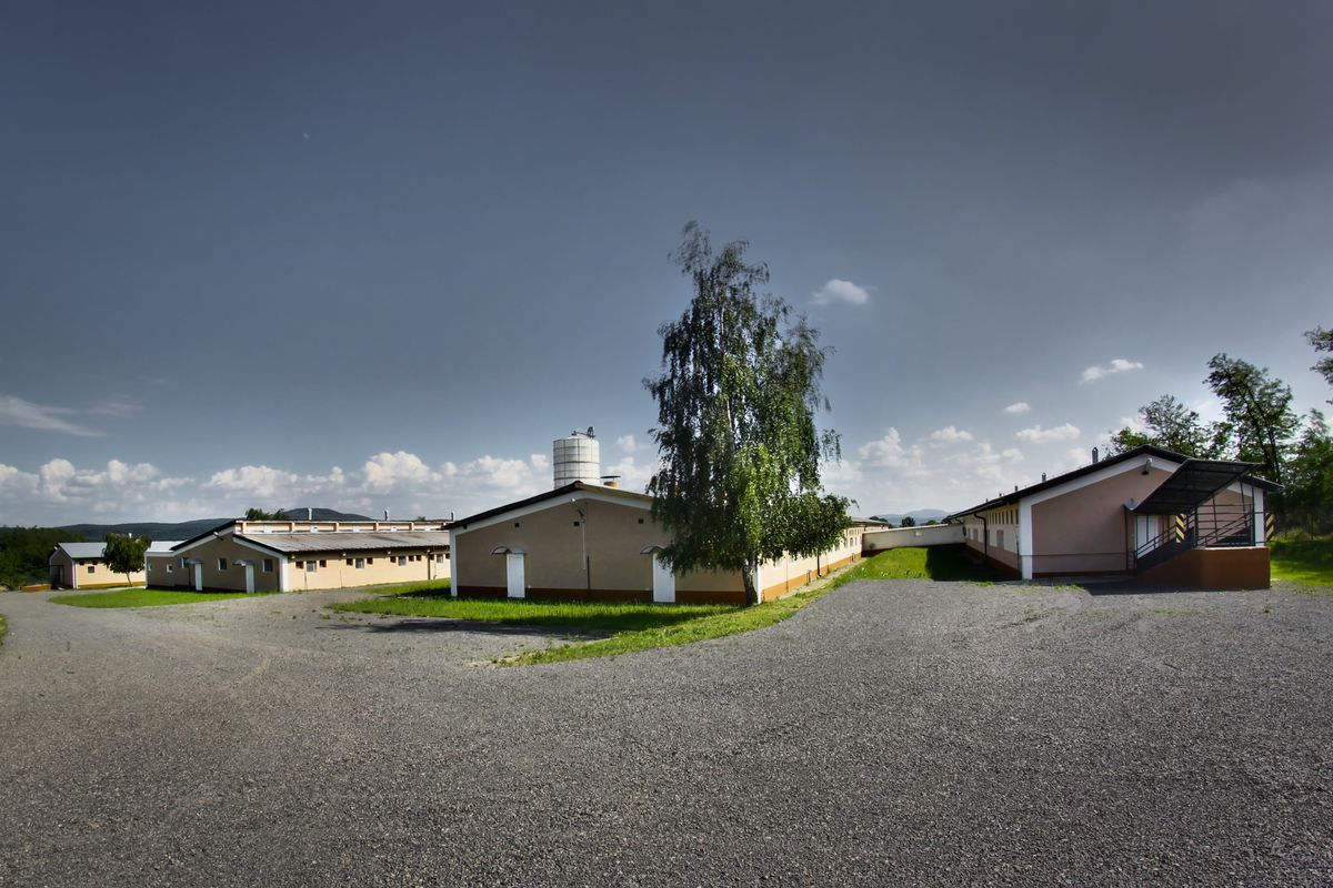 Farma Buzitka.
