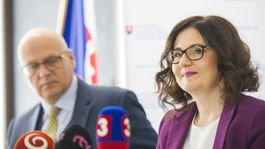 Situácia vo vede na Slovensku je dlhodobo neuspokojivá, tvrdí Lubyová