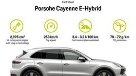 Porsche Cayenne E-Hybrid - 2018