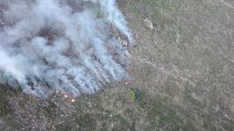 Tatry sa budú z požiaru spamätávať desiatky rokov, tvrdí riaditeľ Správy TANAP