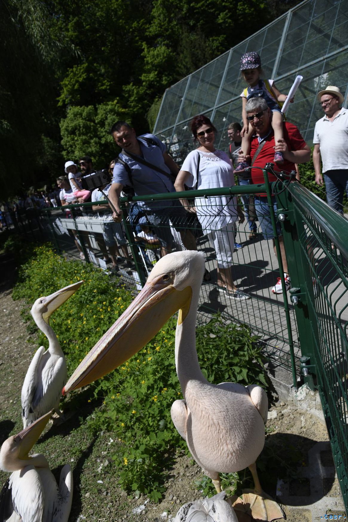 Firmy tvrdia, že ak im štát odpustí odvody,...