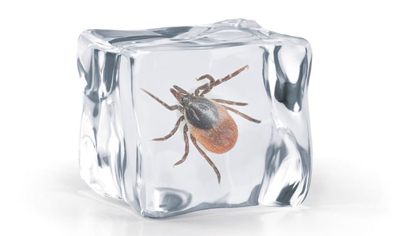 Zdroj: Shutterstock