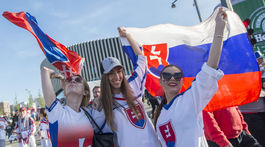 Slovensko, Švajčiarsko, fanúšikovia