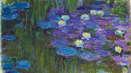 Rozkvitnuté lekná Claude Monet