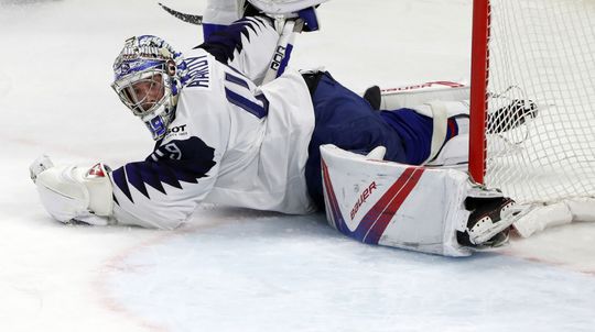 Francúzsky brankár Florian Hardy v zápase proti...