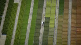 VIDEO: Milióny vlastníkov pôdy na Slovensku sa budú redukovať 