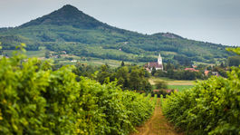Tokaj, Maďarsko, vinica, kostol, vrch, príroda