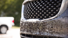 Hmyz z auta môžeme odstrániť aj bez chémie