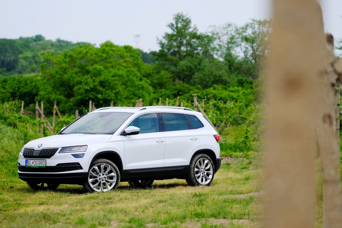 V teréne sa cítia najlepšie verzie 4x4 vybavené...