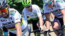 Silná zostava. Bora posiela do Švajčiarska štyroch šampiónov