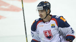 Priznal, že sa vyhováral na zranenia. Záborský nevylúčil návrat do reprezentácie 