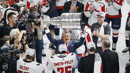 Washington Capitals, Ted Leonsis