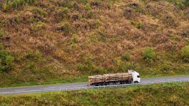 Ochranári: Rezervácie nie sú významným zdrojom lykožrútovej kalamity