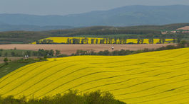 Veľká hra o tvár vidieka