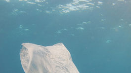 Na morskom dne je vysoká koncentrácia mikroplastov