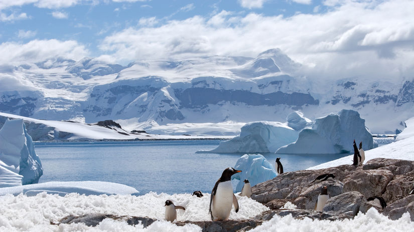 Južný pól tučniaky