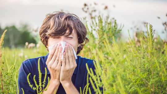 Alergici si ani cez leto neoddýchnu