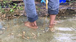 Povodne: riziko vzniku prenosných ochorení