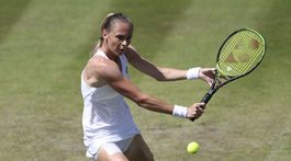 Súboj s Williamsovou? Žreb Slovákom na Wimbledone prial 