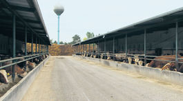 Vôňa zeme nie je vôňa peňazí