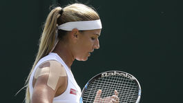 Dominika Cibulková, Alizé Cornetová