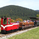 Oravská železnica