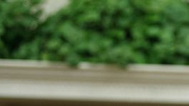 Trump tak, Biely dom inak: anexiu Krymu USA neuznávajú