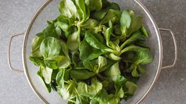 Valeriánka poľná alebo polníček - posilňuje duševnú vitalitu