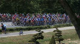 Tour de France, pelotón