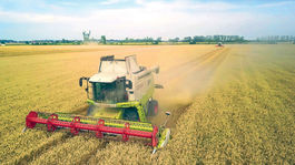 Kto a s akými kartami hrá v žatve 2018