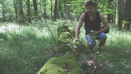 Čínsky múr má aj Slovensko. Sú ním tajomné Valy obrov