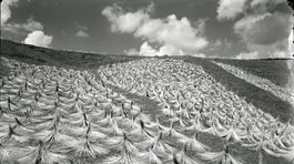 Karol Plicka nasledoval vnútorný hlas krásy