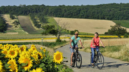 Burgenland ponúka turistom až 2500 kilometrov cyklistických trás. 