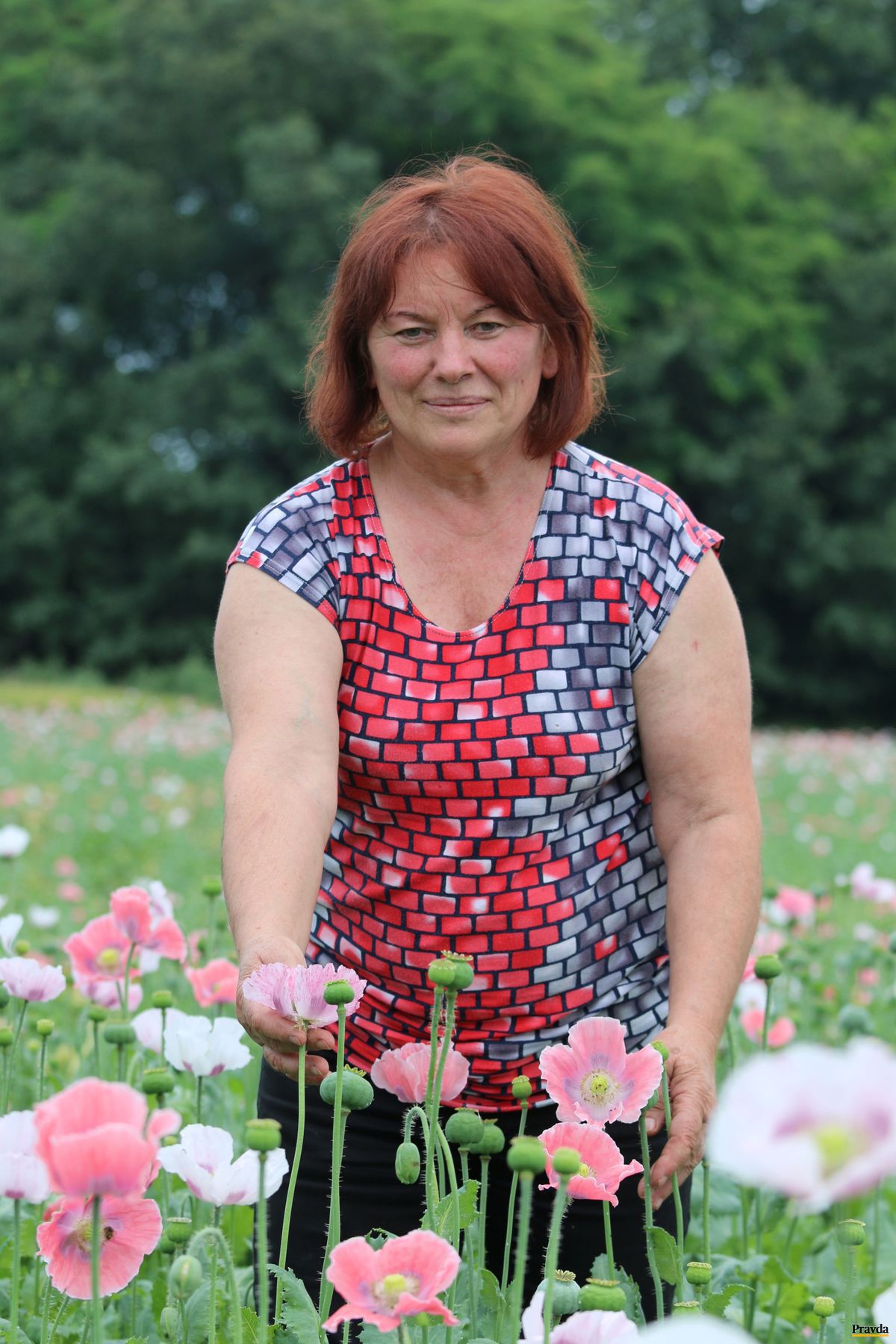 Gabriela Čechovičová a jej mak.
