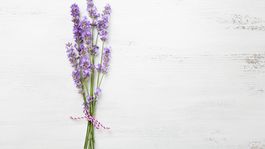 Levanduľa nielen voňavá či liečivá, ale aj chutná