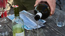 Ochutnať víno v rakúskom Burgenlande je takpovediac jedna z povinných zastávok. 