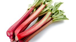 Rebarbora - aromatická zelenina nielen do koláčov