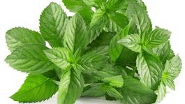 Mäta pieporná skvelo ochutí grilované mäso