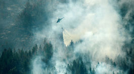 Lesné požiare sú dôsledkom teplejšej klímy