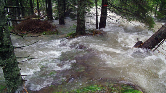Tatranské povodne podľa lesníkov naplnili scenár, ktorý predpovedali