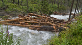 Júlové prívalové dažde spôsobili škody za vyše 1,1 milióna eur