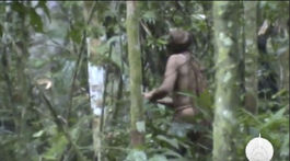 V brazílskom pralese natočili osamelého indiána, je zrejme posledný z kmeňa