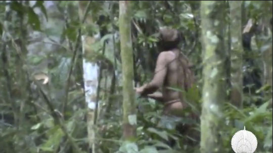 V brazílskom pralese natočili osamelého indiána, je zrejme posledný z kmeňa