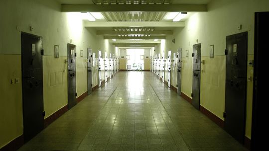 Upratovačku odsúdenú za sfalšovanie vysvedčenia prepustili z gréckeho väzenia