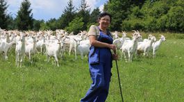 Družstvo v Mestečku ukazuje, aké by malo byť moderné poľnohospodárstvo