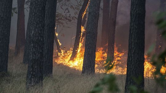 Nemecko sužujú rekordné teploty i lesné požiare, vlna horúčav pokračuje