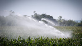 Vodu máme, ale nie na poliach